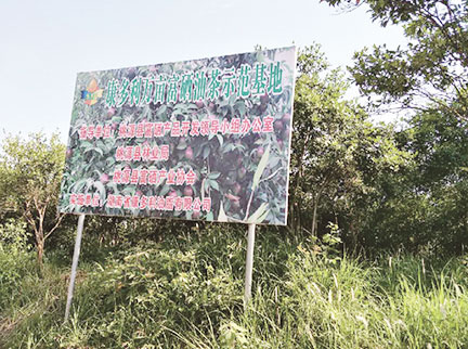 永信贵宾会217·(中国区)官网