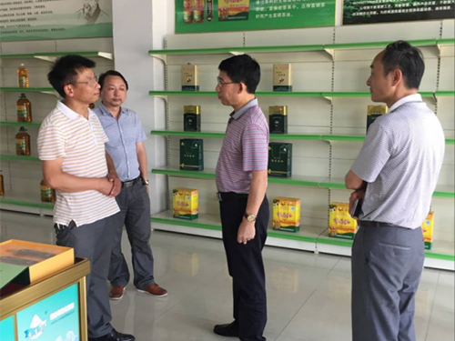 永信贵宾会217,油茶莳植生产加工销售,植物油莳植生产加工销售