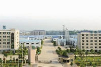 永信贵宾会217,油茶莳植生产加工销售,植物油莳植生产加工销售