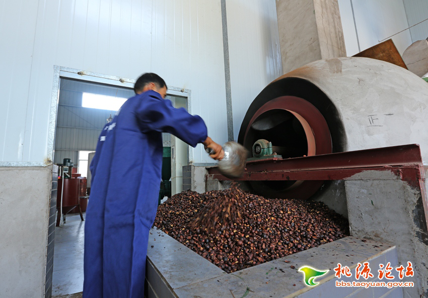 永信贵宾会217,油茶莳植生产加工销售,植物油莳植生产加工销售