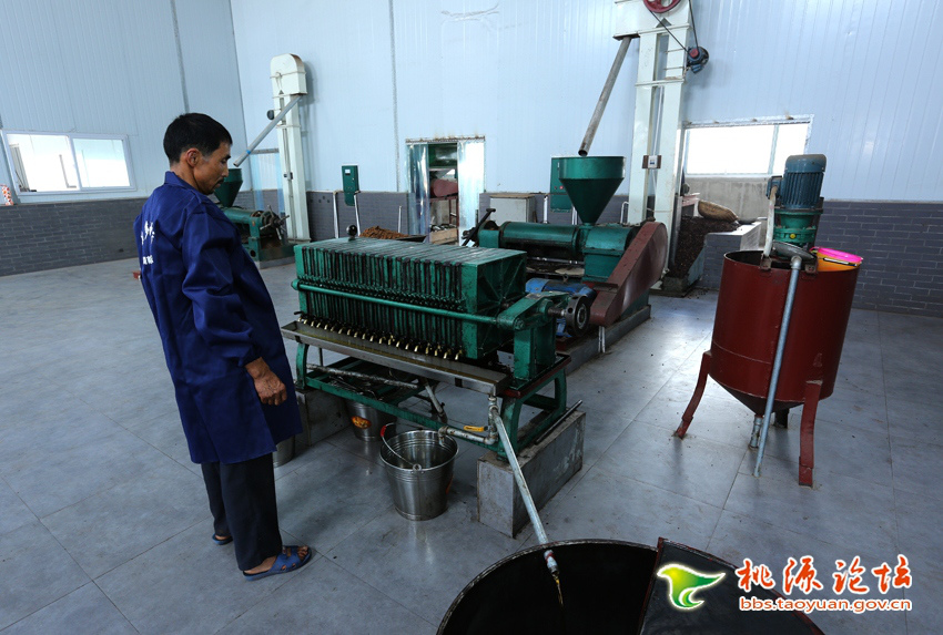 永信贵宾会217,油茶莳植生产加工销售,植物油莳植生产加工销售