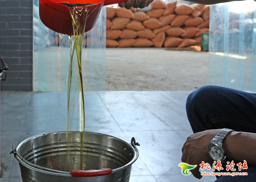 永信贵宾会217,油茶莳植生产加工销售,植物油莳植生产加工销售