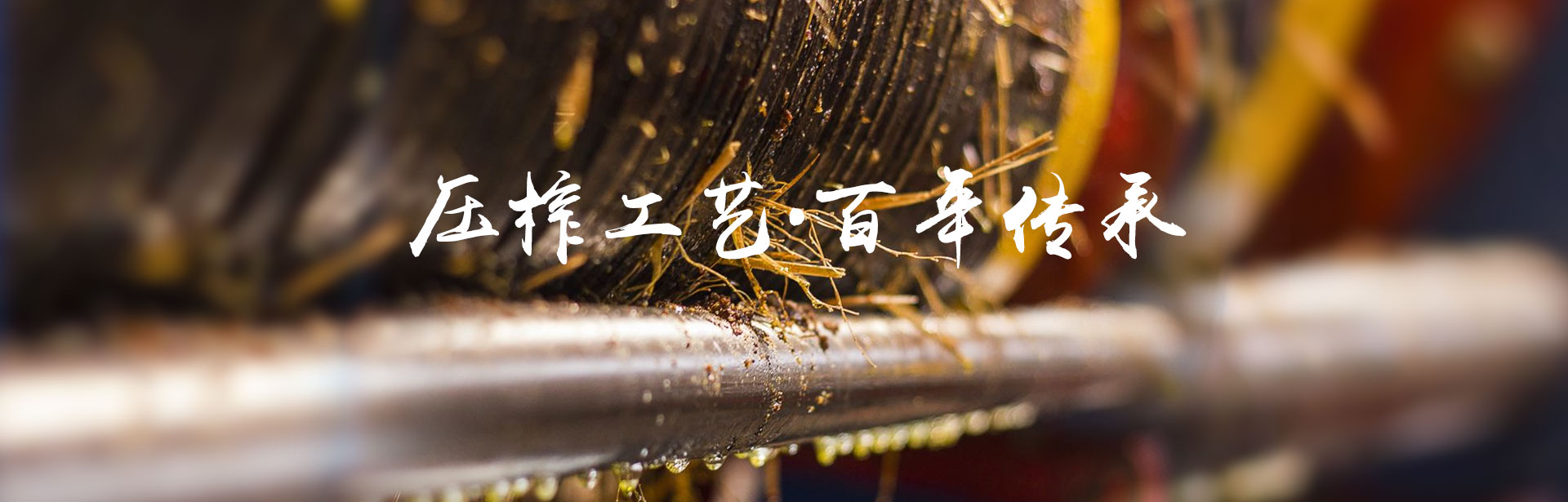 永信贵宾会217_油茶莳植生产加工销售|植物油莳植生产加工销售