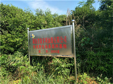 永信贵宾会217,油茶莳植生产加工销售,植物油莳植生产加工销售