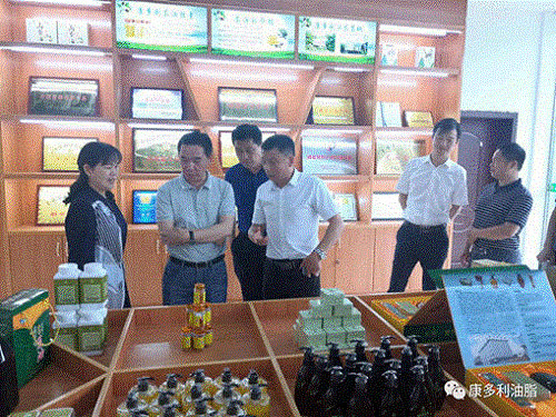 永信贵宾会217,油茶莳植生产加工销售,植物油莳植生产加工销售